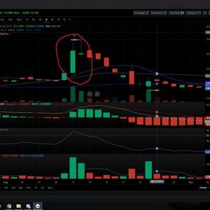 Investor screenprint